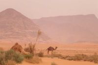 IMG_20260302_234938_507