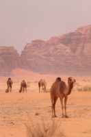 IMG_20260302_234944_130