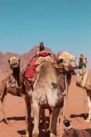 IMG_20260302_234952_157