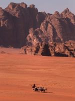 IMG_20260302_235034_753